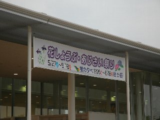 flowerpark00.jpg