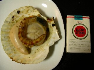ホタテ デケぇ〜(ノ゚ρ゚)ノ ォォォ・・ォ・・ォ・・・・