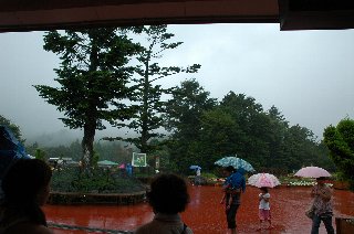 雨が降ってきました(T_T)